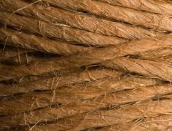 Волокна сизаля: свойства, польза и применение